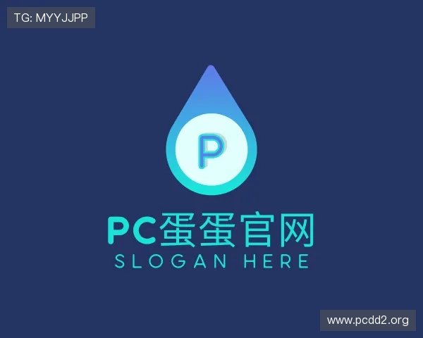 概述pc蛋蛋官网
